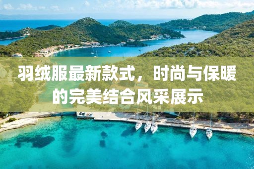羽绒服最新款式，时尚与保暖的完美结合风采展示