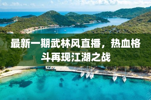 最新一期武林风直播，热血格斗再现江湖之战