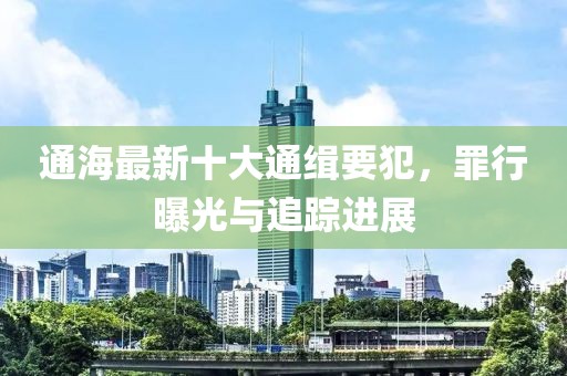 通海最新十大通缉要犯，罪行曝光与追踪进展