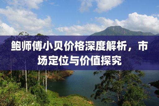 鲍师傅小贝价格深度解析，市场定位与价值探究