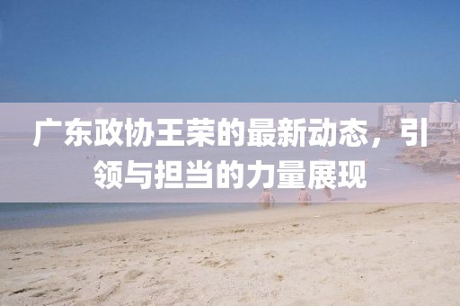 广东政协王荣的最新动态，引领与担当的力量展现
