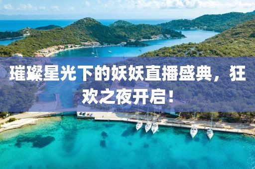 璀璨星光下的妖妖直播盛典，狂欢之夜开启！