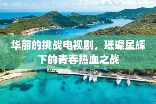 华丽的挑战电视剧，璀璨星辉下的青春热血之战
