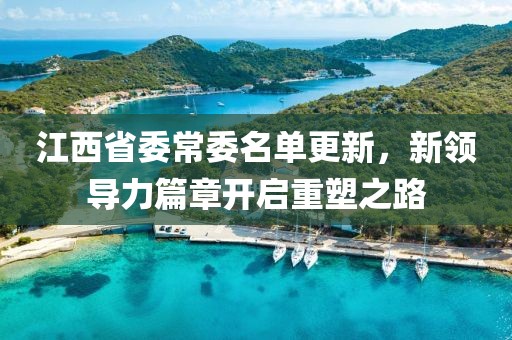 江西省委常委名单更新，新领导力篇章开启重塑之路