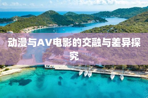 动漫与AV电影的交融与差异探究