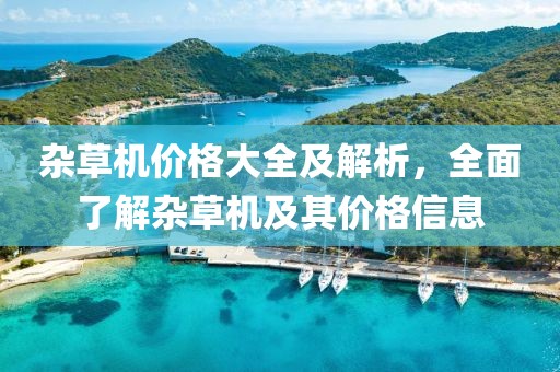 杂草机价格大全及解析，全面了解杂草机及其价格信息