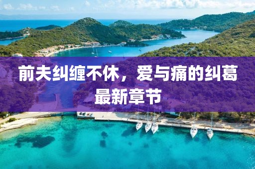 前夫纠缠不休，爱与痛的纠葛最新章节
