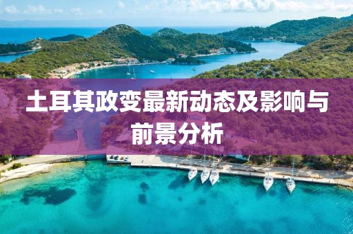 土耳其政变最新动态及影响与前景分析