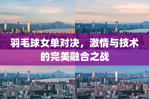 羽毛球女单对决，激情与技术的完美融合之战