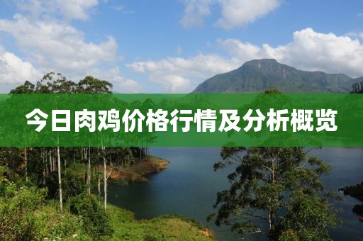 今日肉鸡价格行情及分析概览