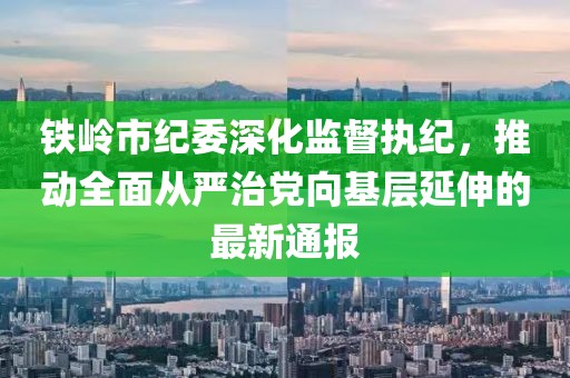 铁岭市纪委深化监督执纪，推动全面从严治党向基层延伸的最新通报