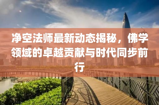 净空法师最新动态揭秘，佛学领域的卓越贡献与时代同步前行
