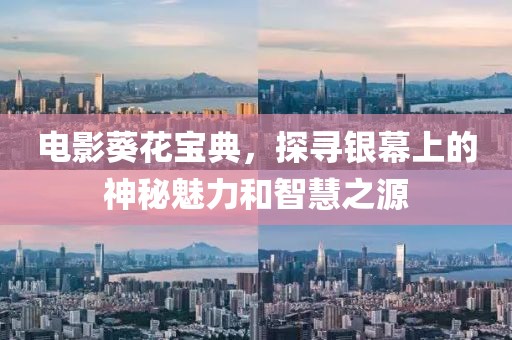 电影葵花宝典，探寻银幕上的神秘魅力和智慧之源