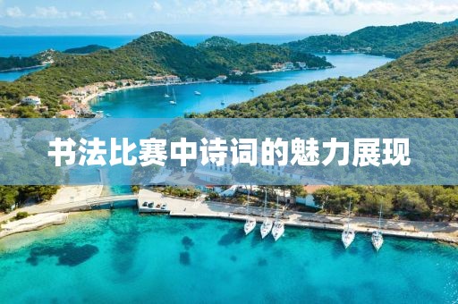 书法比赛中诗词的魅力展现