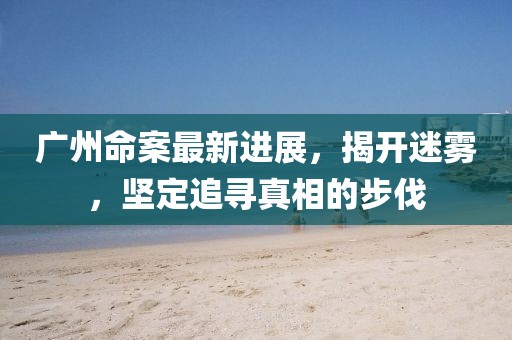广州命案最新进展，揭开迷雾，坚定追寻真相的步伐