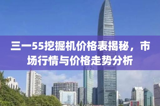三一55挖掘机价格表揭秘，市场行情与价格走势分析