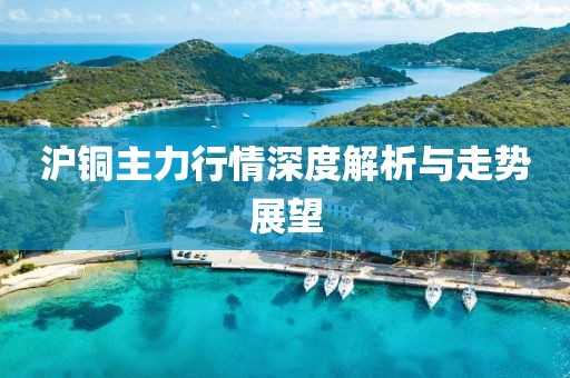 沪铜主力行情深度解析与走势展望