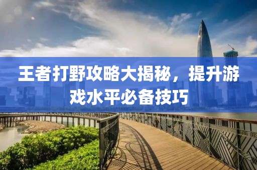王者打野攻略大揭秘，提升游戏水平必备技巧