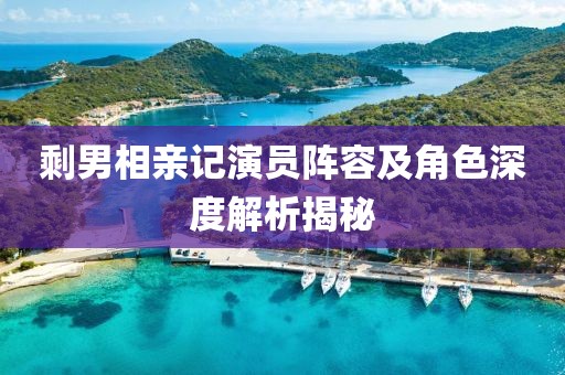 剩男相亲记演员阵容及角色深度解析揭秘