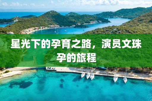 星光下的孕育之路，演员文珠孕的旅程
