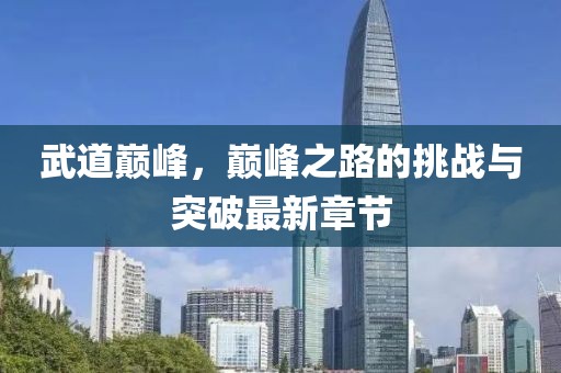 武道巅峰，巅峰之路的挑战与突破最新章节
