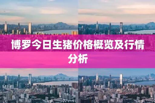 博罗今日生猪价格概览及行情分析