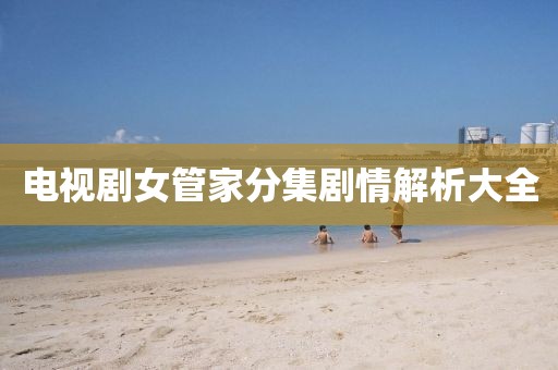 电视剧女管家分集剧情解析大全