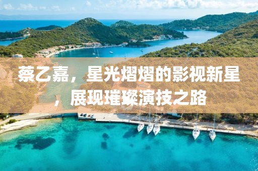 蔡乙嘉，星光熠熠的影视新星，展现璀璨演技之路