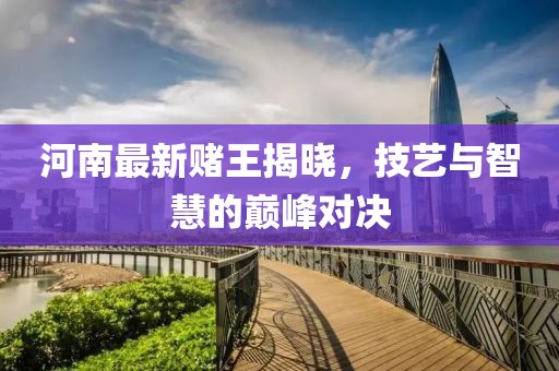 河南最新赌王揭晓，技艺与智慧的巅峰对决