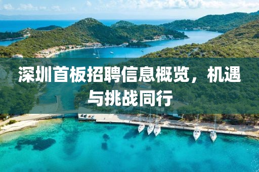 深圳首板招聘信息概览，机遇与挑战同行