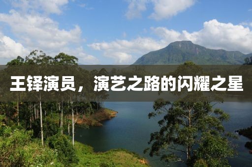 王铎演员，演艺之路的闪耀之星