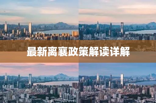 最新离襄政策解读详解
