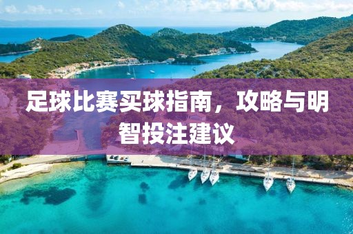 足球比赛买球指南，攻略与明智投注建议