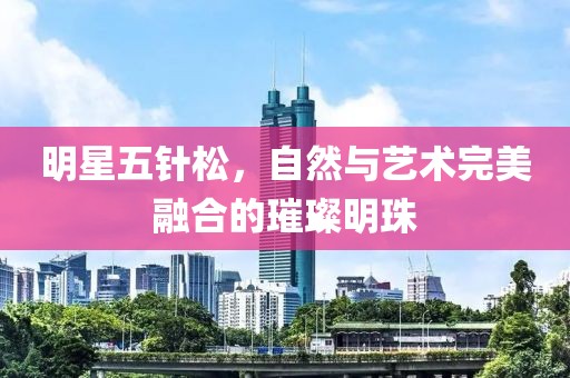 明星五针松，自然与艺术完美融合的璀璨明珠