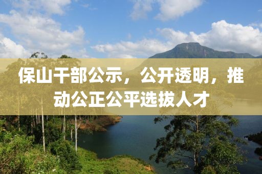 保山干部公示，公开透明，推动公正公平选拔人才