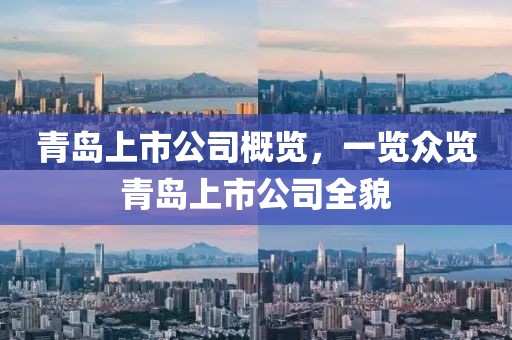 青岛上市公司概览，一览众览青岛上市公司全貌