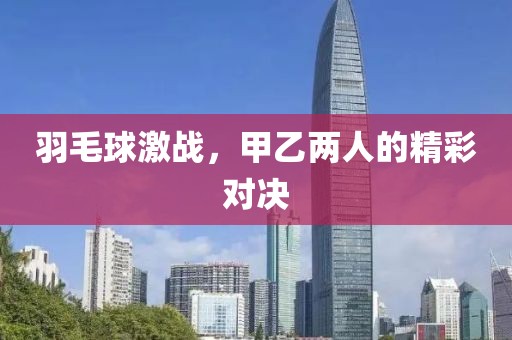羽毛球激战，甲乙两人的精彩对决