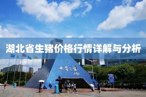 湖北省生猪价格行情详解与分析