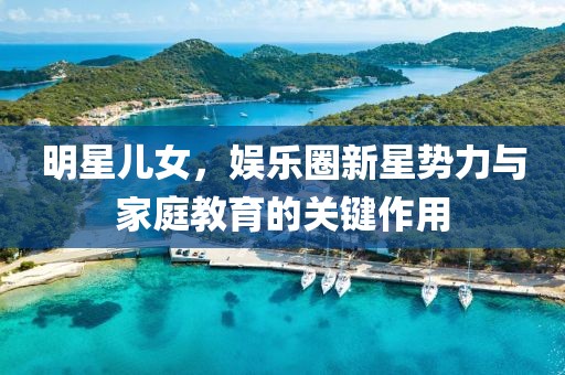 明星儿女，娱乐圈新星势力与家庭教育的关键作用
