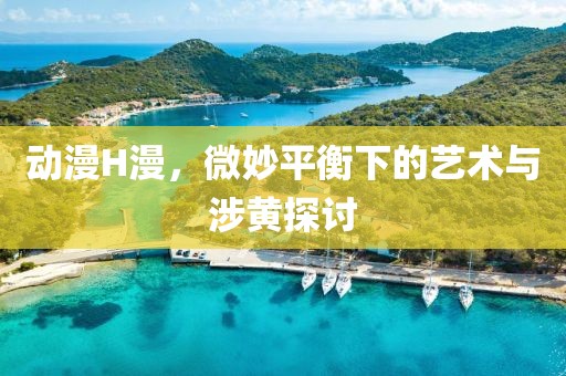 动漫H漫，微妙平衡下的艺术与涉黄探讨