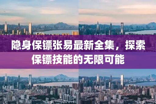 隐身保镖张易最新全集，探索保镖技能的无限可能