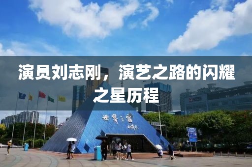 演员刘志刚，演艺之路的闪耀之星历程