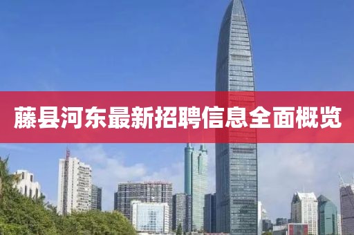 藤县河东最新招聘信息全面概览