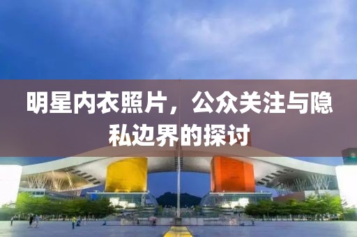 明星内衣照片，公众关注与隐私边界的探讨