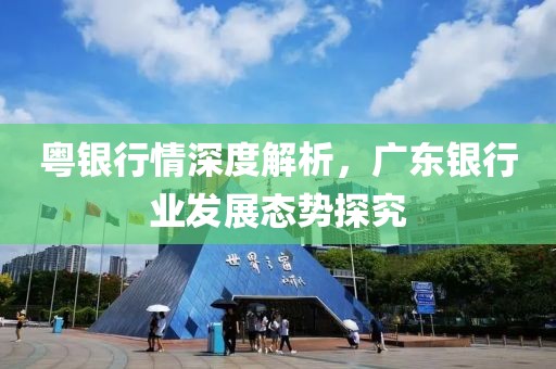 粤银行情深度解析，广东银行业发展态势探究