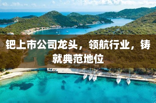 钯上市公司龙头，领航行业，铸就典范地位
