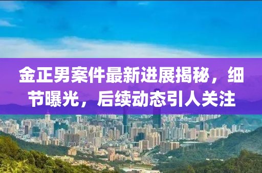 金正男案件最新进展揭秘，细节曝光，后续动态引人关注