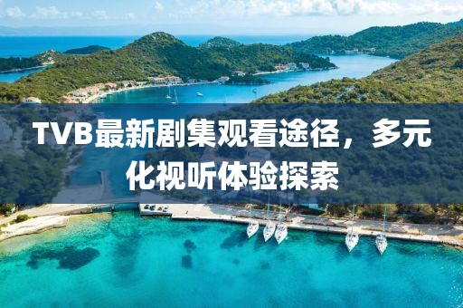 TVB最新剧集观看途径，多元化视听体验探索