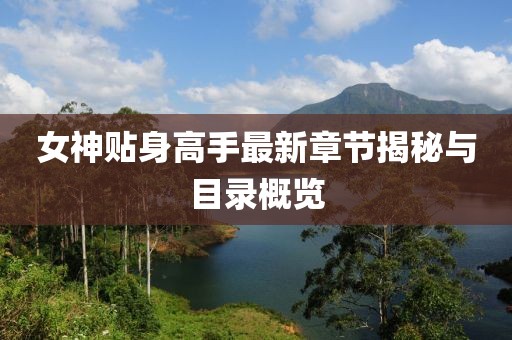 女神贴身高手最新章节揭秘与目录概览