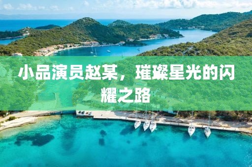 小品演员赵某，璀璨星光的闪耀之路